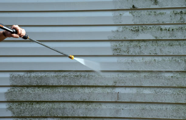 Best Affordable Pressure Washing  in Long Beach, CA